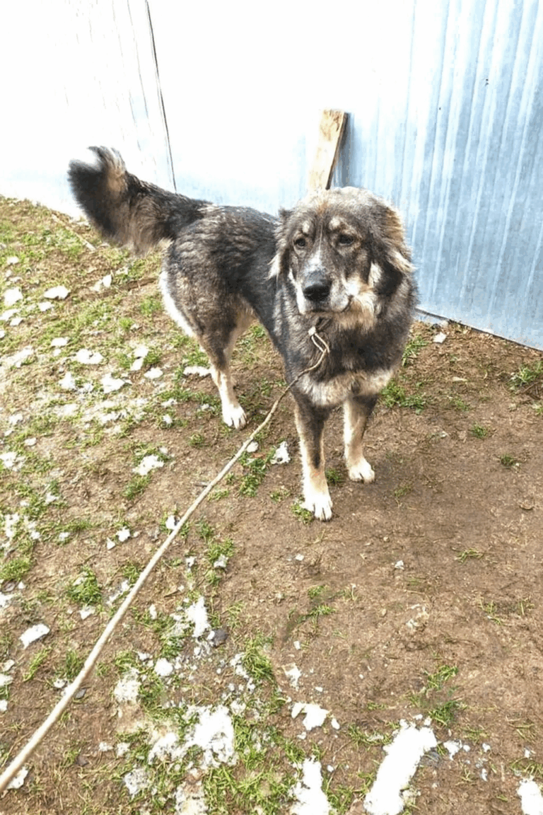 Copilot_20251125_124745