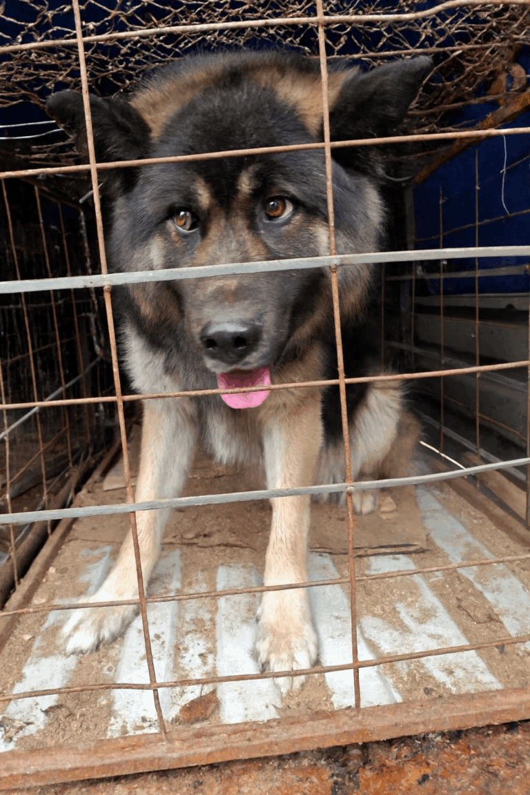 Copilot_20251125_125019