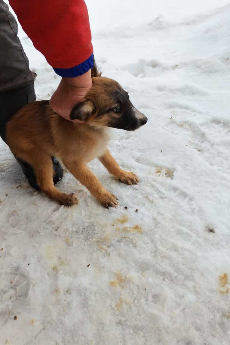 Copilot_20260206_101708