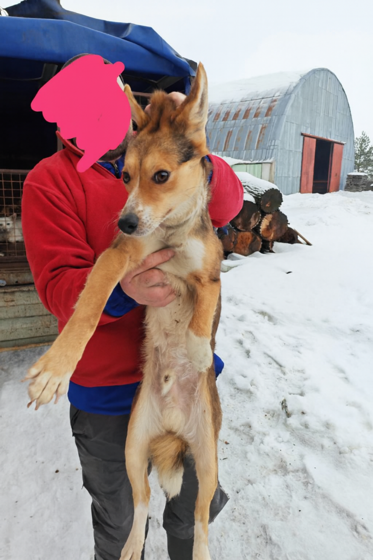 Copilot_20260206_102641