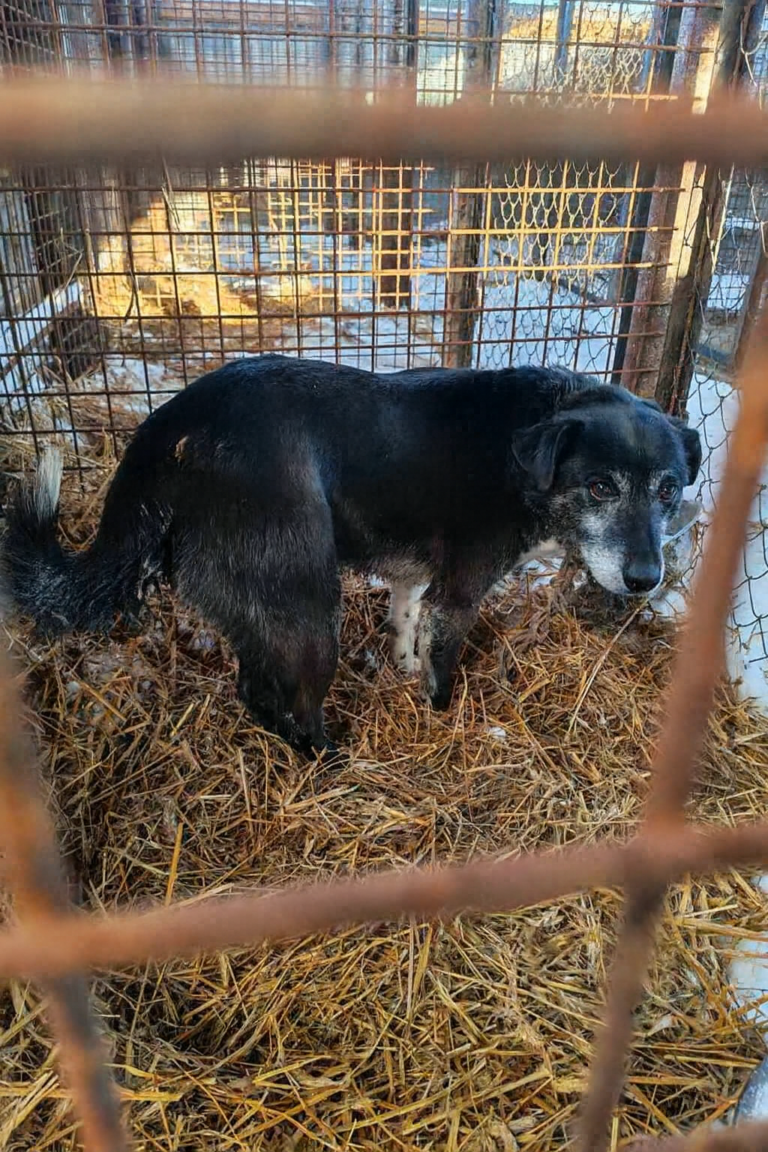 Copilot_20260206_103558