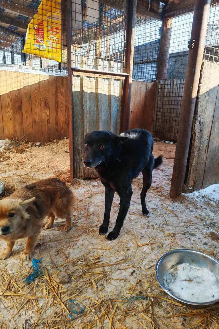 Copilot_20260206_104001