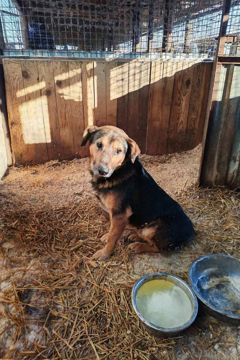 Copilot_20260206_104123