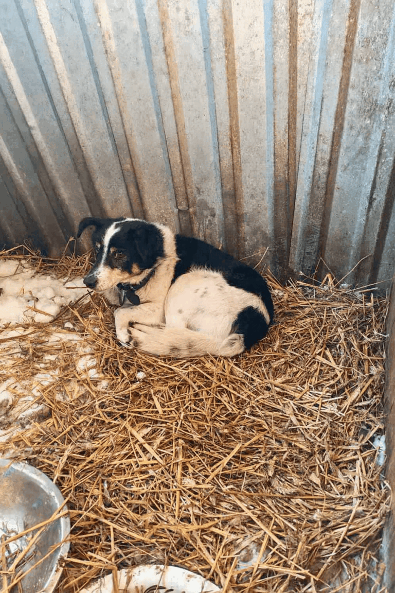 Copilot_20260206_104318