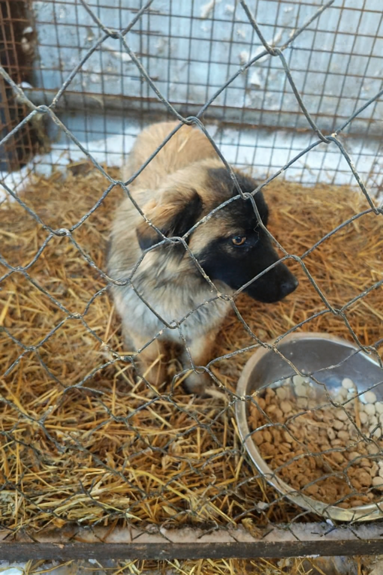 Copilot_20260206_104449