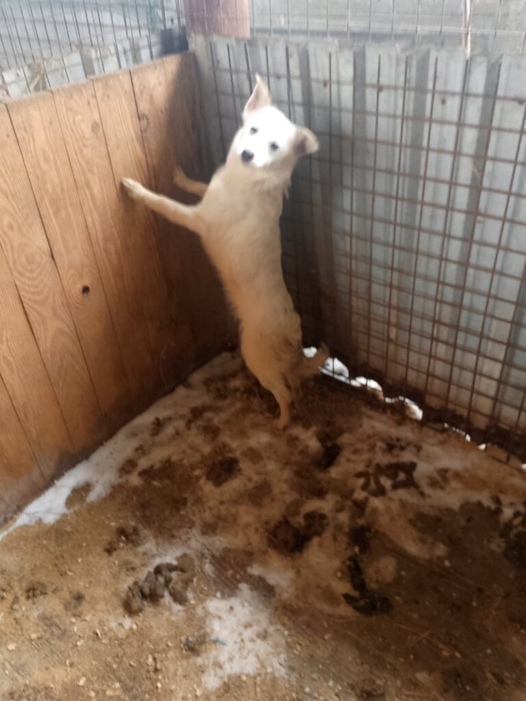 изображение_viber_2026-02-06_08-18-10-202